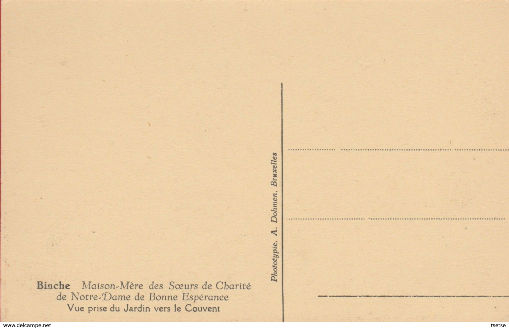 Binche -Maison Des Soeurs De La Charité De N-D De Bonne Espérance - Vue Prise Du Jardin Vers Le Couvent ( Voir Verso ) - Binche