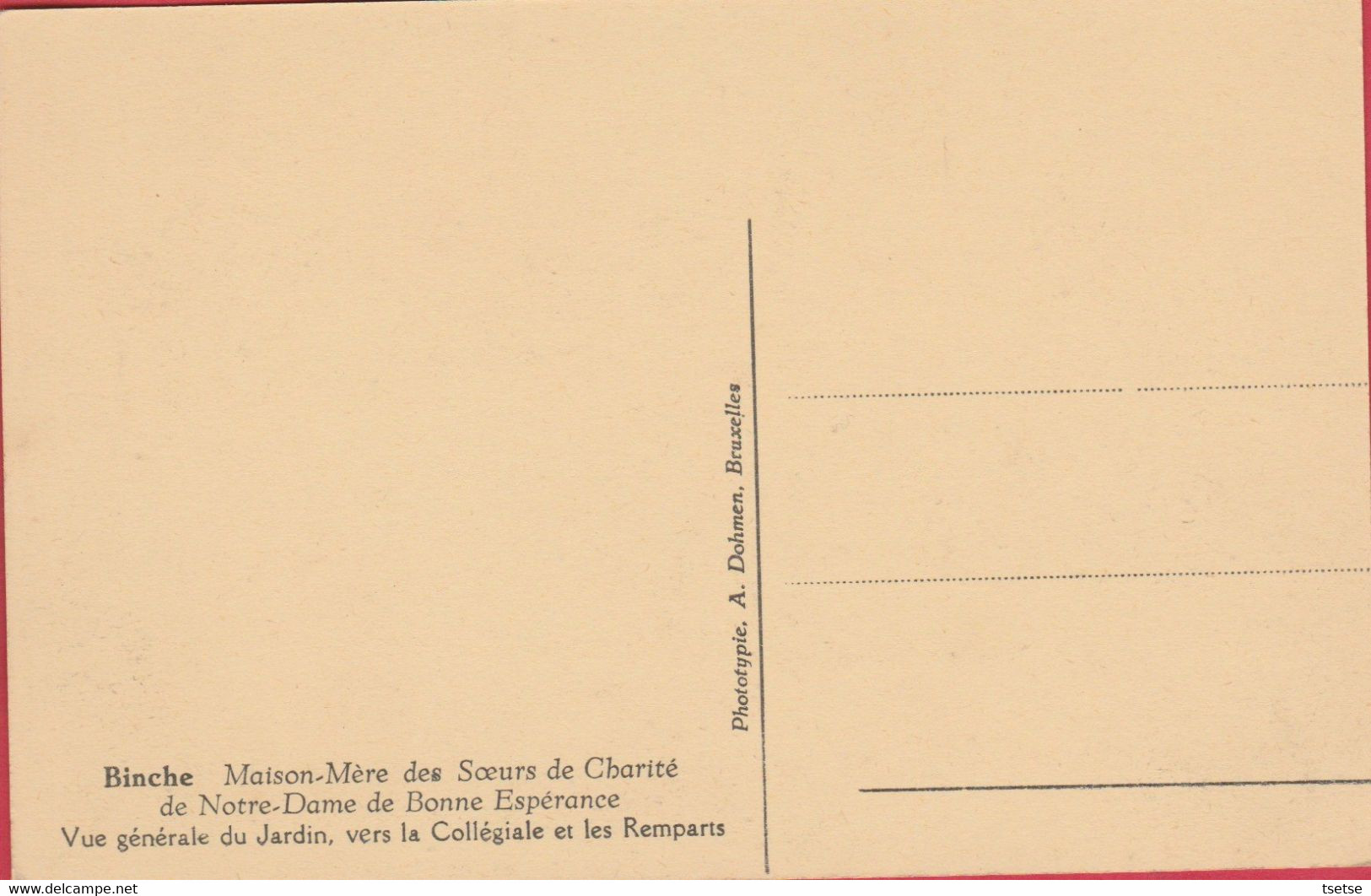 Binche -Maison Des Soeurs De La Charité De N-D De Bonne Espérance-Vue Générale Du Jardin, Vers Collégiale ( Voir Verso ) - Binche