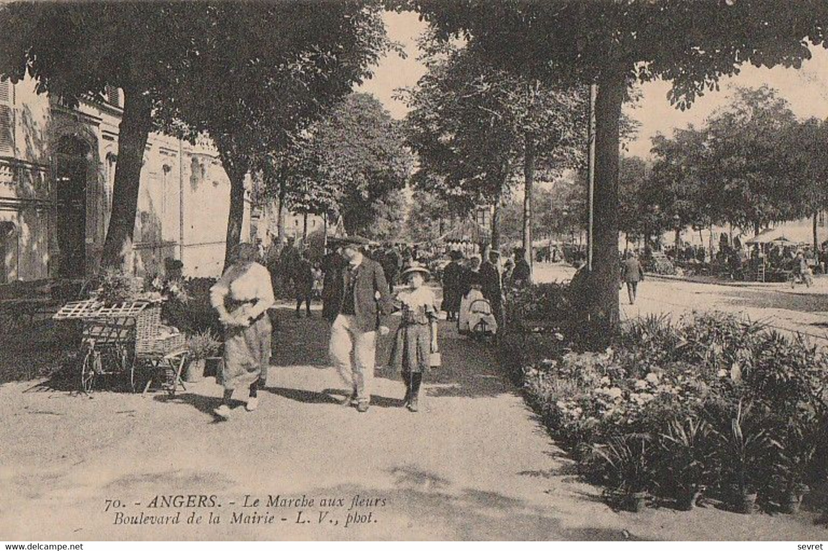 ANGERS. -  Le Marché Aux Fleurs, Boulevard De La Mairie - Angers