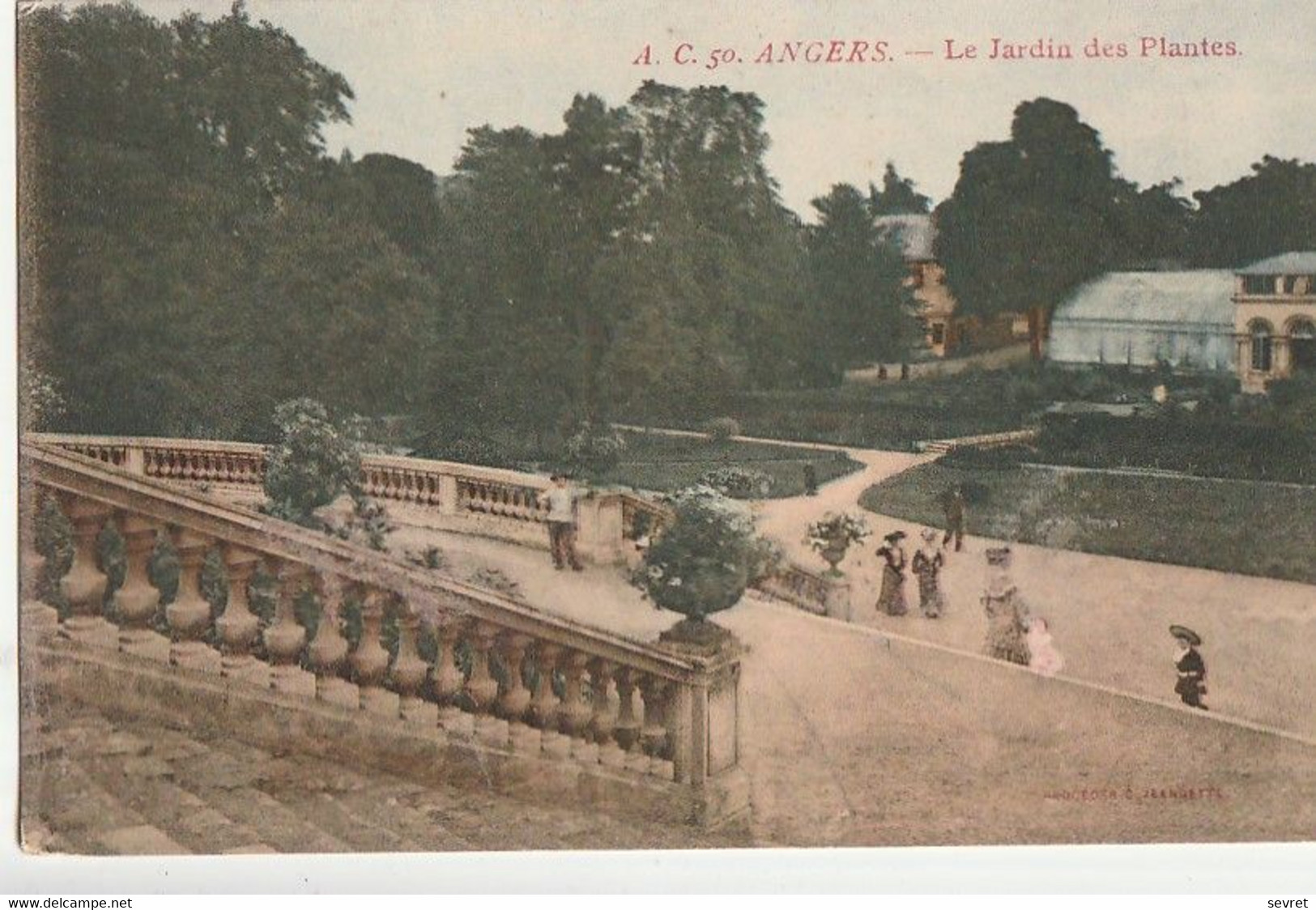 ANGERS. - Le Jardin Des Plantes - Angers