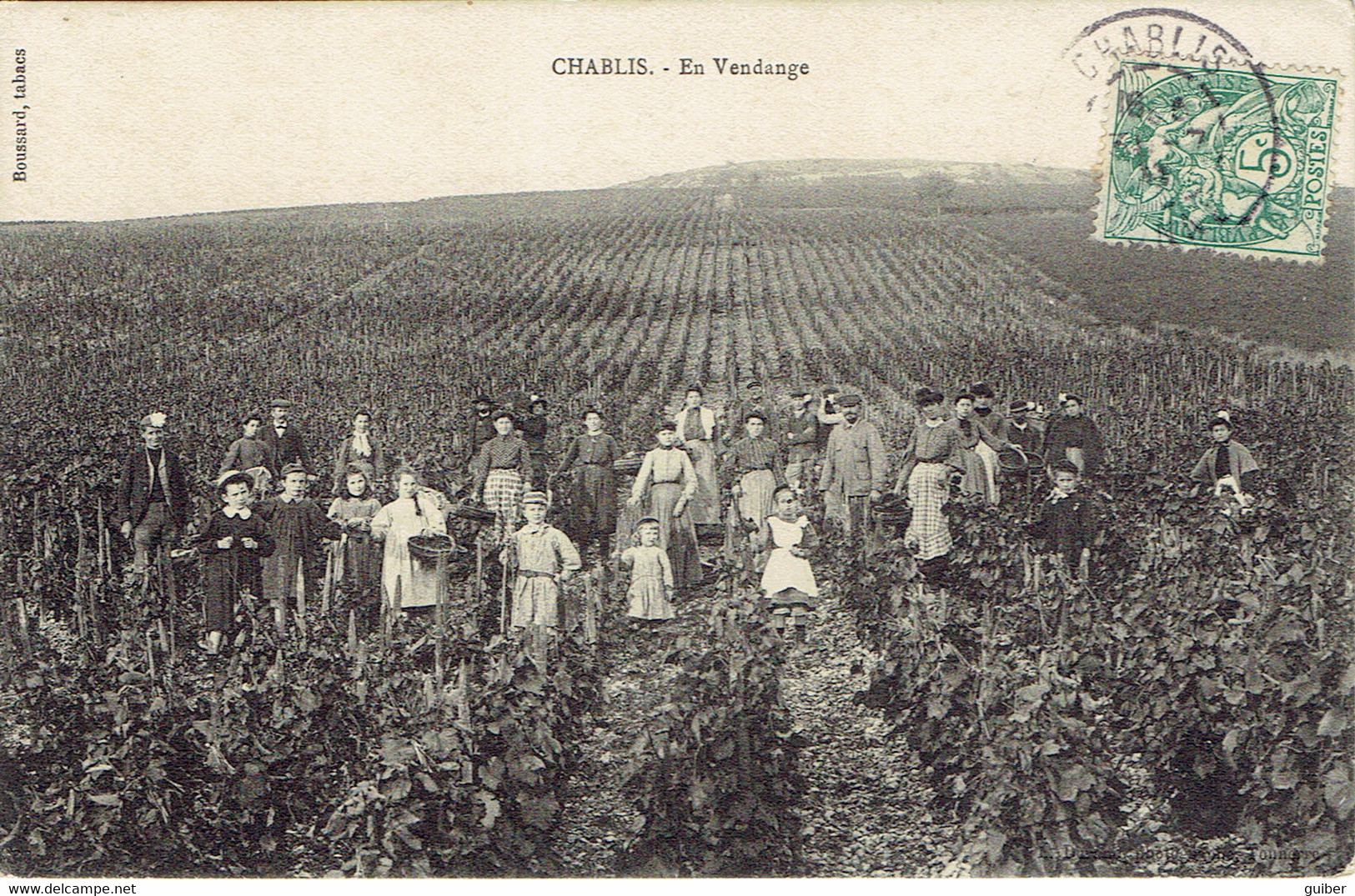 Chablis En Vendange - Chablis