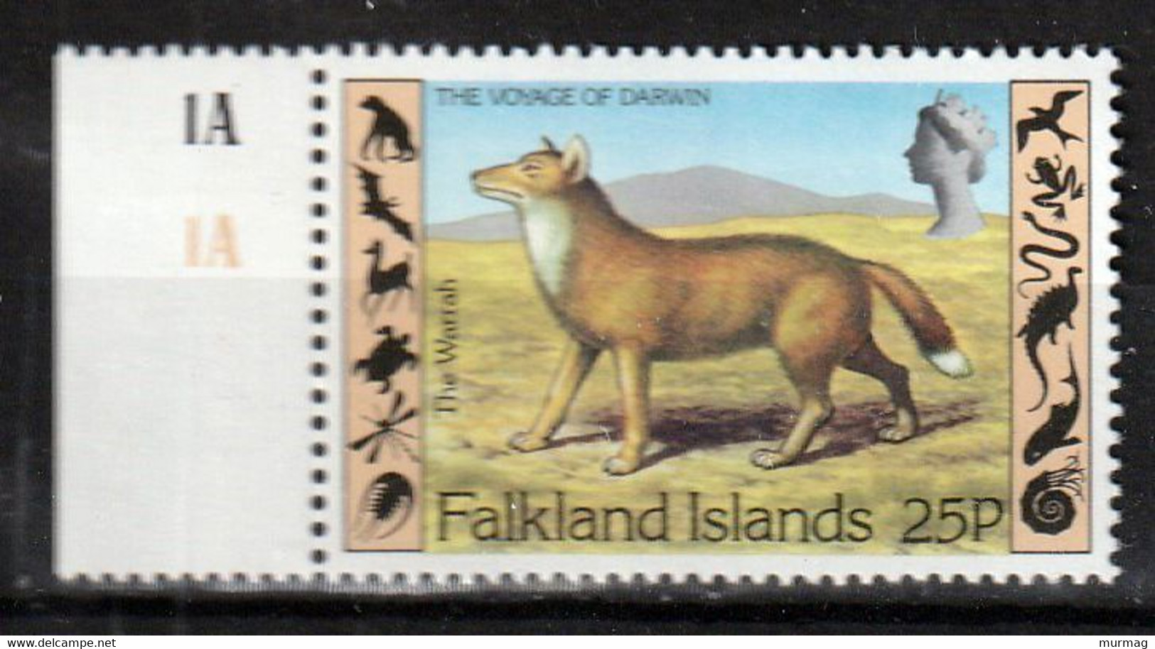 FALKLAND ISLANDS - Faune, The Warrah, Le Voyage De Darwin - Y&T N° 345 - MNH - Falklandeilanden