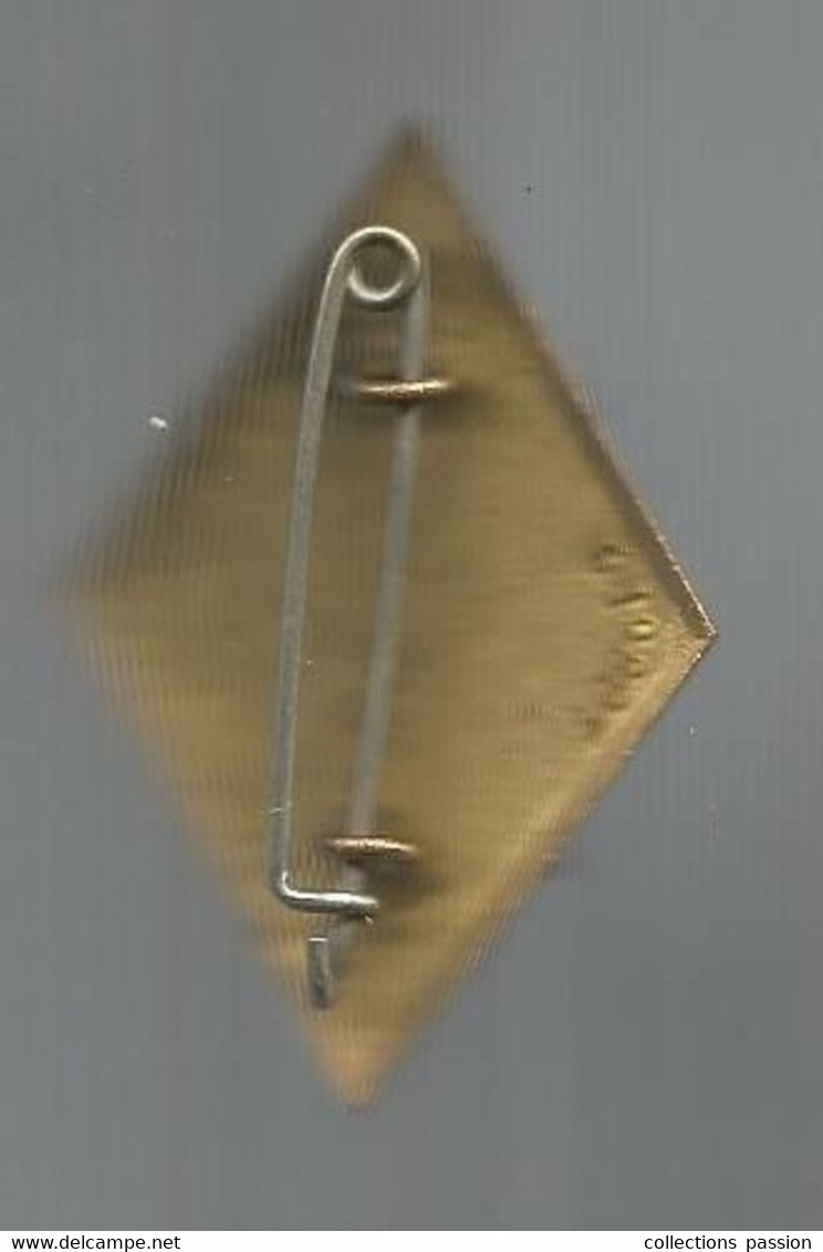 Médaille,  Militaria, ECOLE POLYTECHNIQUE ,Arthus Bertrand Paris ,G 1980 , 2 Scans, Frais Fr 2.25 E - Autres & Non Classés