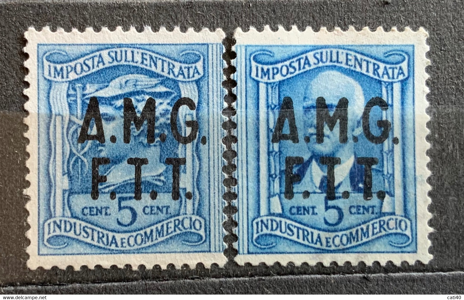 TRIESTE A - AMG FTT  -  IMPOSTA ENTRATA 5 Cent. Le Due Parti - Revenue Stamps