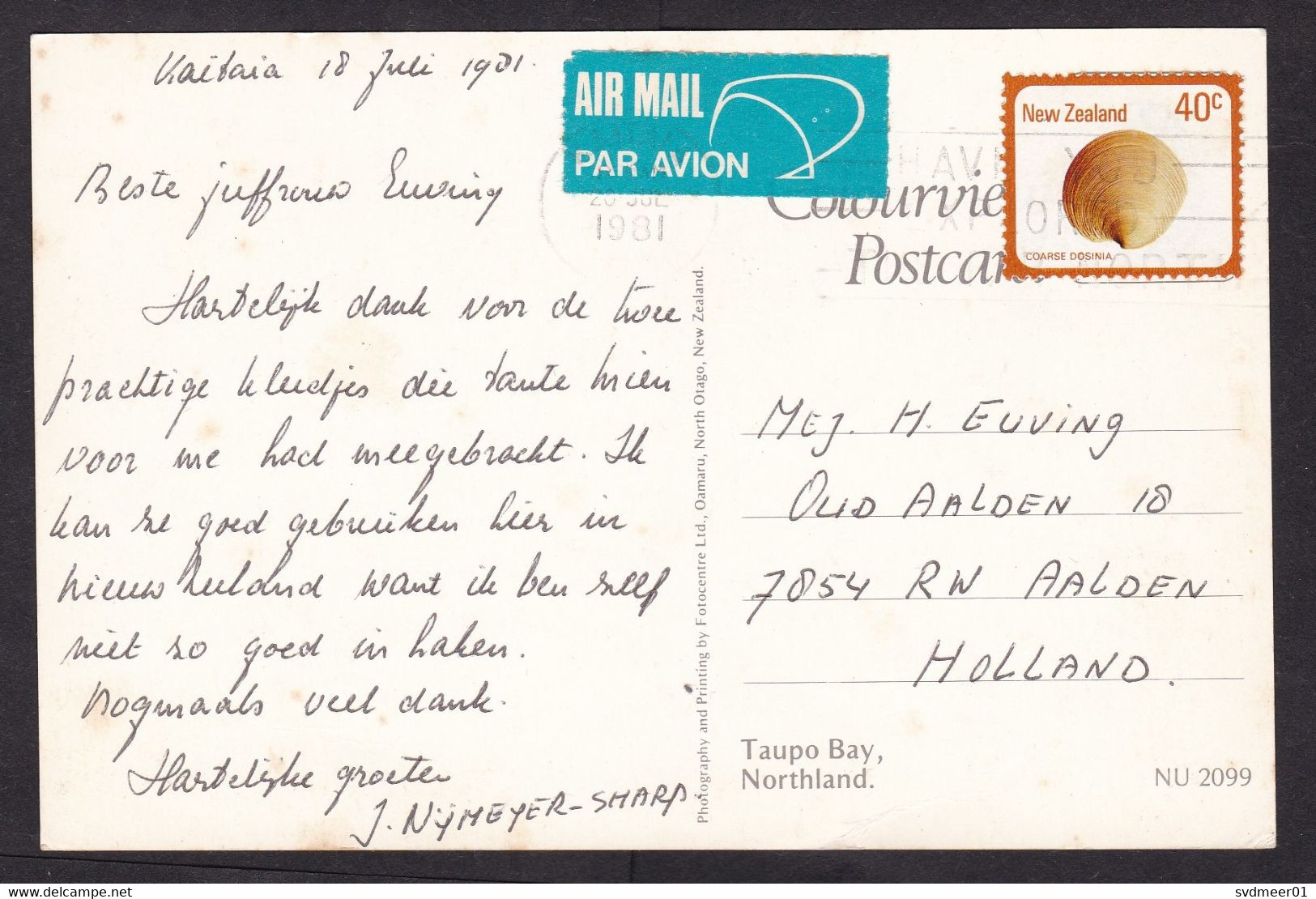 New Zealand: Airmail Picture Postcard To Netherlands, 1981, 1 Stamp, Shell, Card: Taupo Bay (discolouring) - Covers & Documents