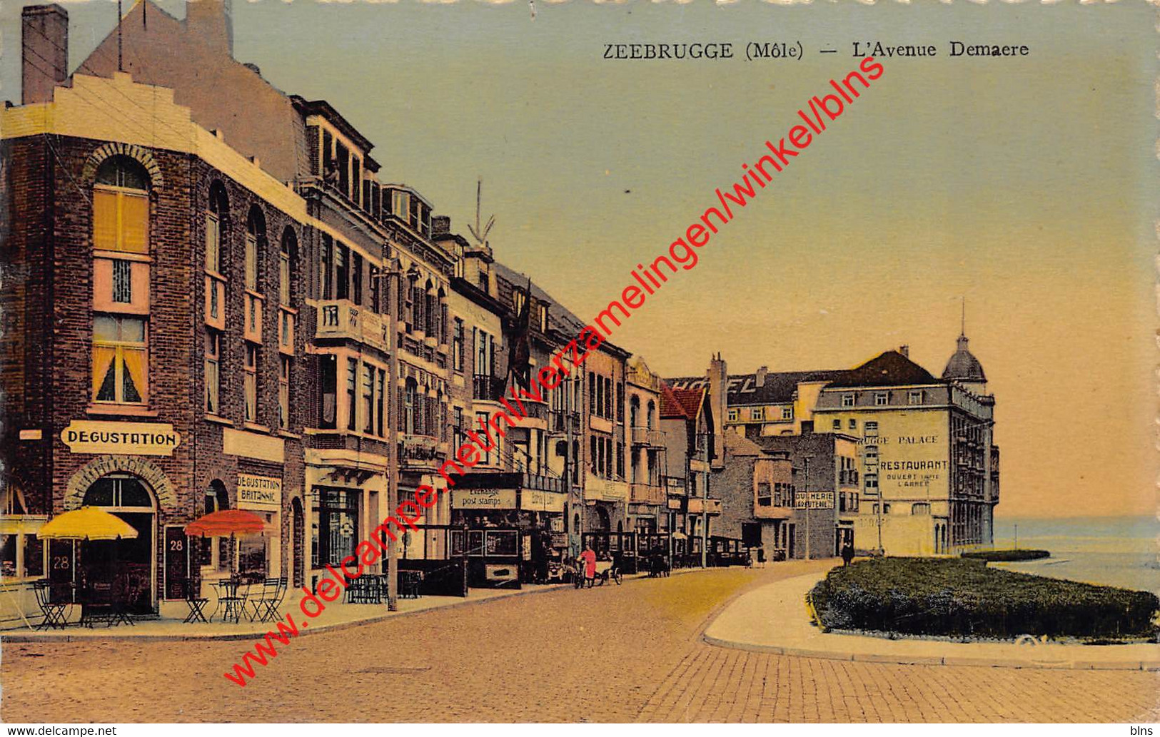 L'Avenue Demaere - Zeebrugge - Zeebrugge