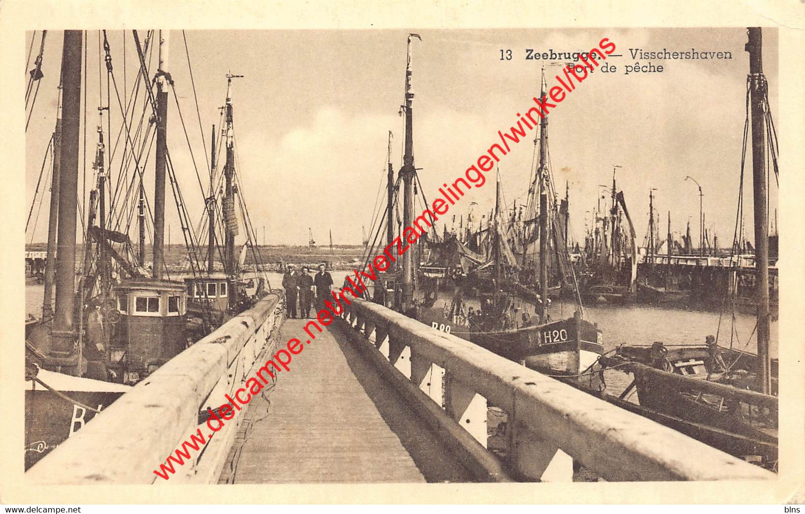 Visschershaven - Port De Pêche - Zeebrugge - Zeebrugge