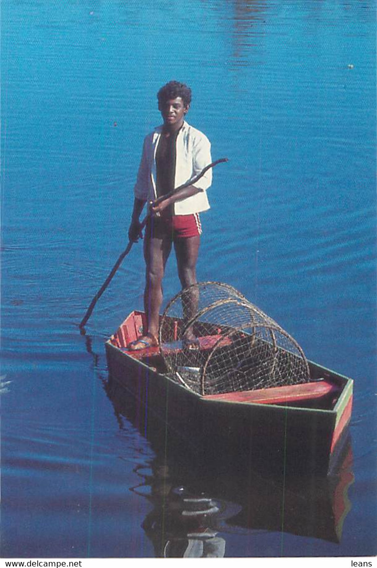 LA REUNION - Pêcheurs De Tilapias Dans L'étang De SAINT PAUL - Saint Paul