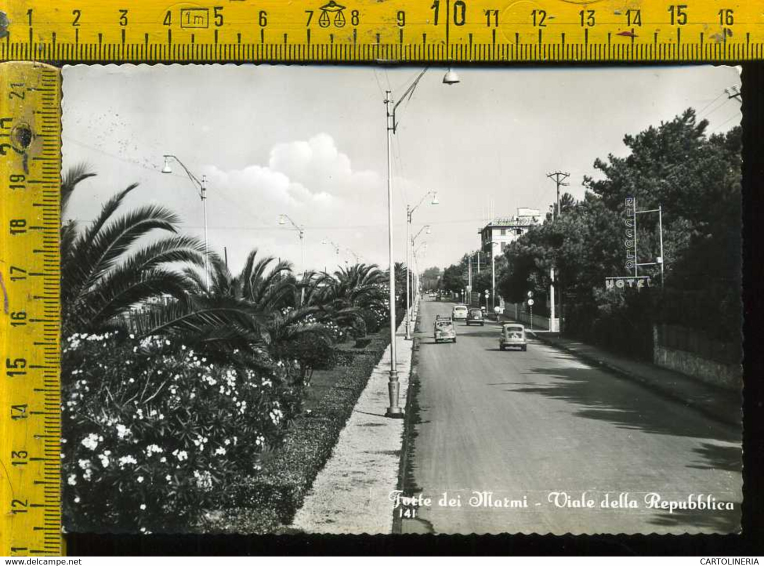 Lucca Forte Dei Marmi Viale Della Repubblica - Lucca