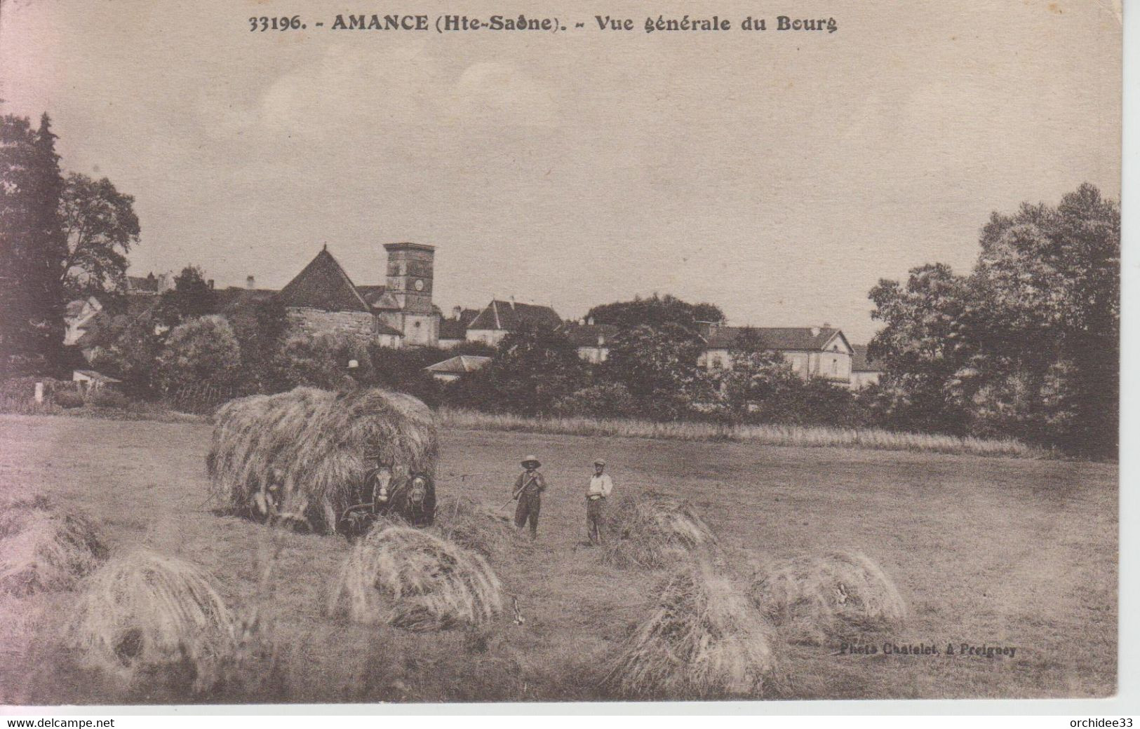 CPA Amance - Vue Générale Du Bourg (avec Jolie Scène De Moisson) - Amance