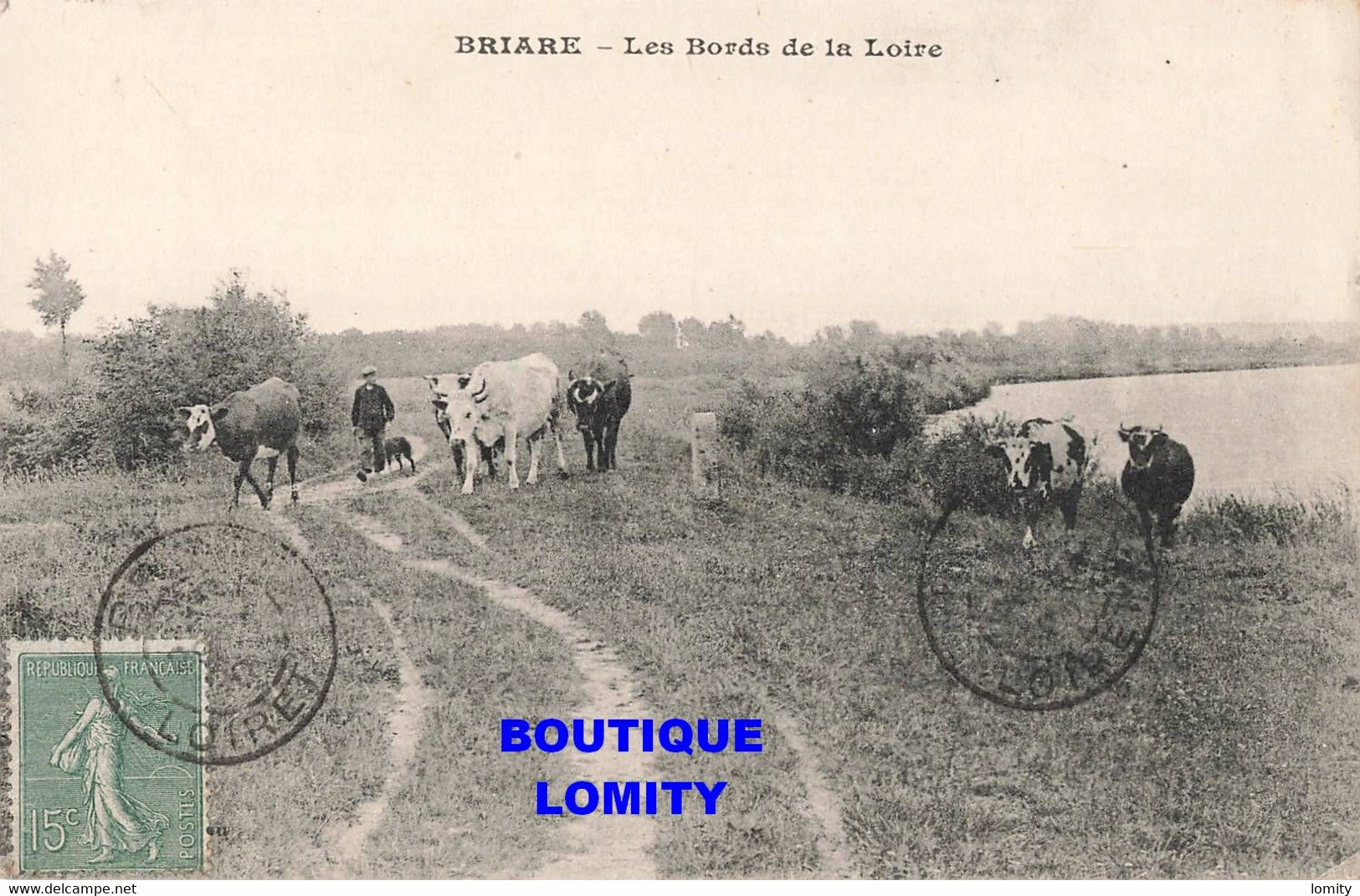 45 Briare CPA Les Bords De La Loire Vaches Vache - Briare