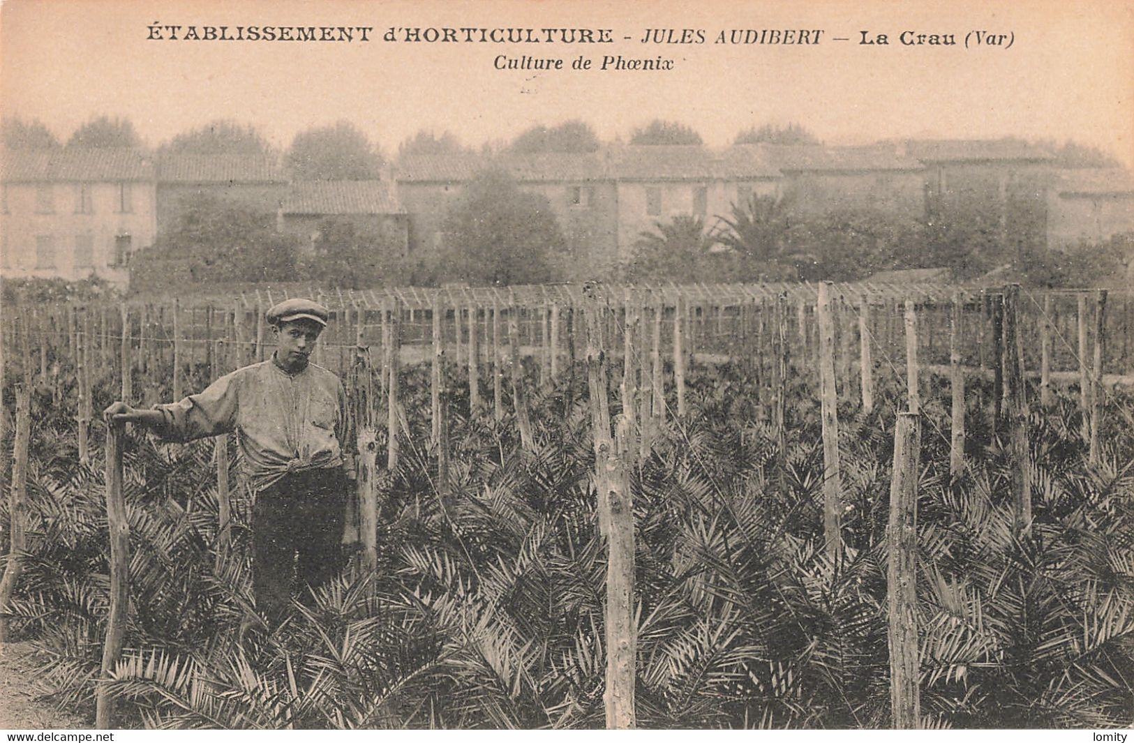 83 La Crau CPA établissement D' Horticulture Jules Audibert Cultures Du Phoenix - La Crau