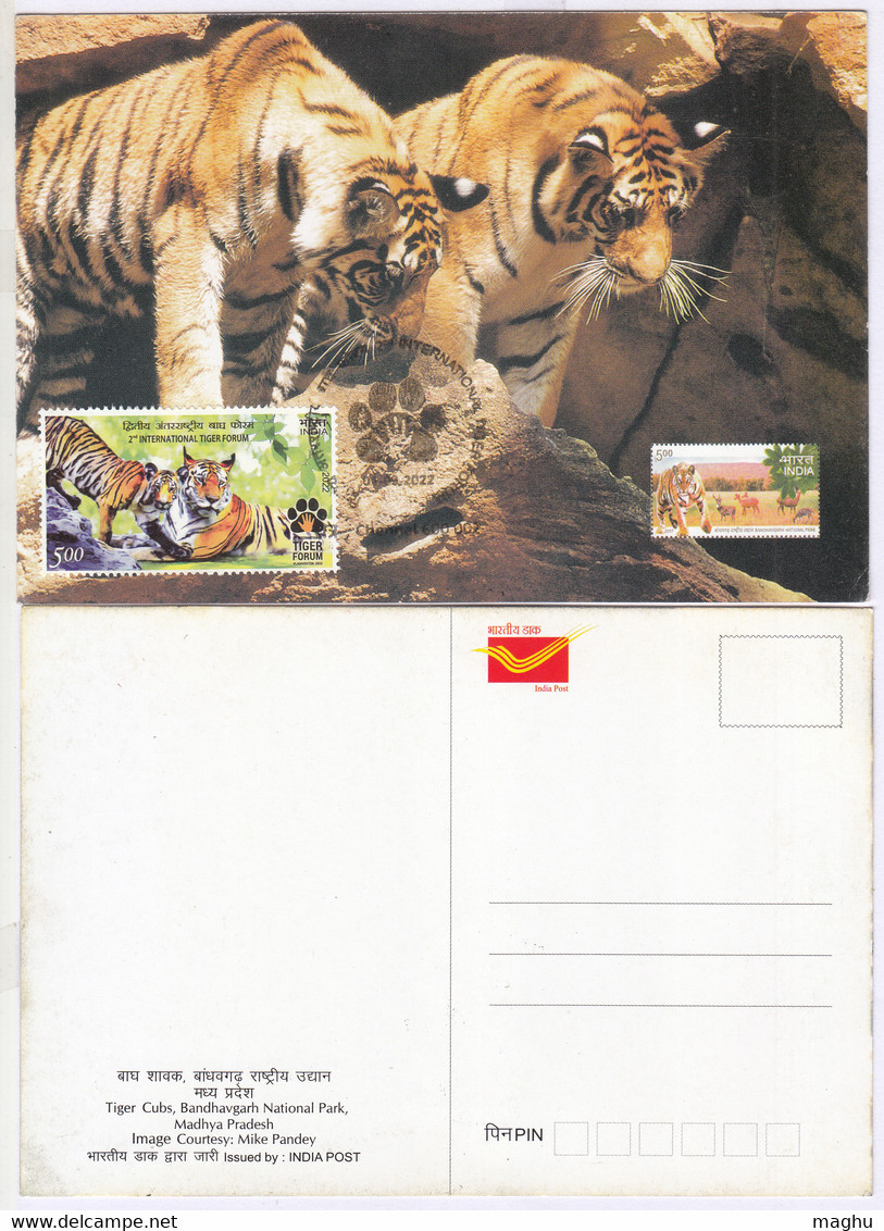 Maxicard, Maximum, First Day Cancel 2022, Inter., Tiger Forum, Animal, Big Cat., Official Postcard, Bandhavgarh Park - FDC