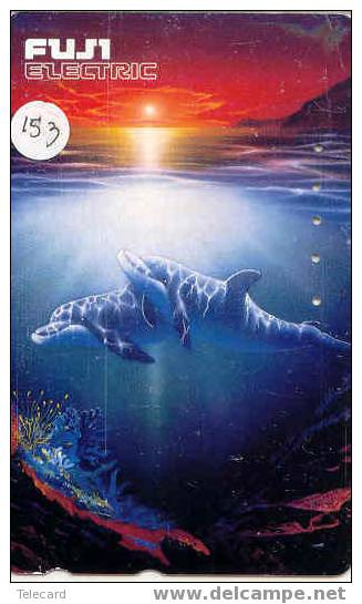 Telecarte DAUPHIN Dolphin DOLFIJN Delphin (153) - Pesci