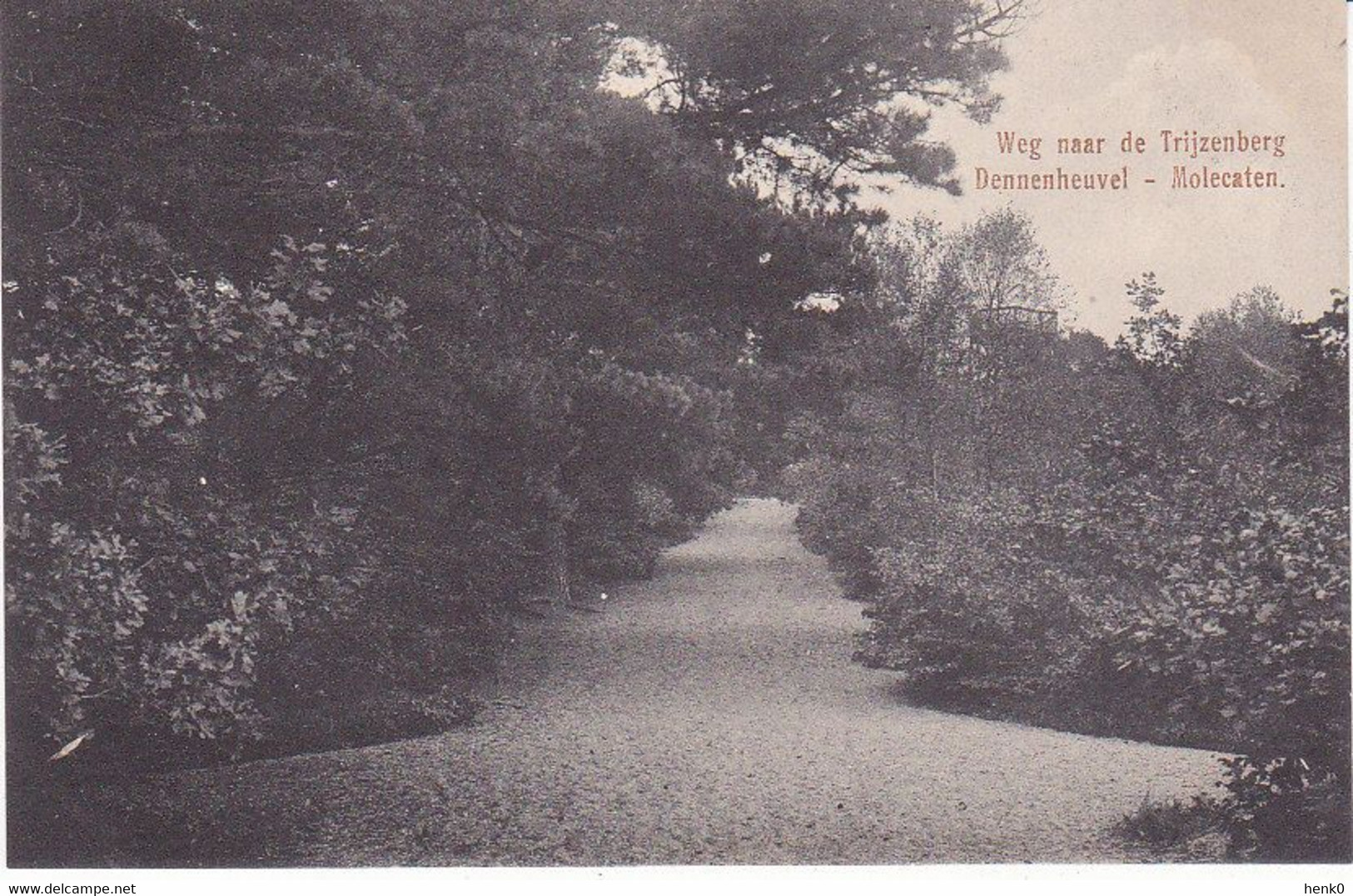 Hattem Weg Naar De Trijzenberg Dennenheuvel Molecaten R465 - Hattem