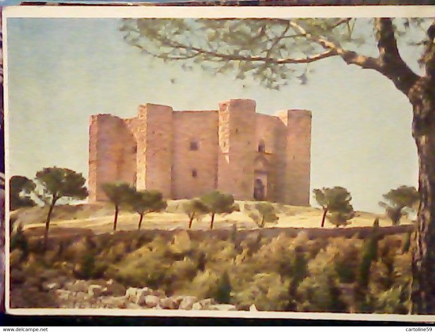 CASTELLO CASTLE CHATEAU SCHLOSS DI ANDRIA DEL MONTE VB1964  IW2247 - Andria