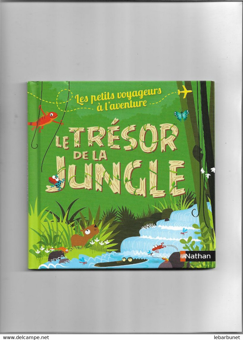 Livre Nathan Jeunesse  Le Trésor De La Jungle - Hachette