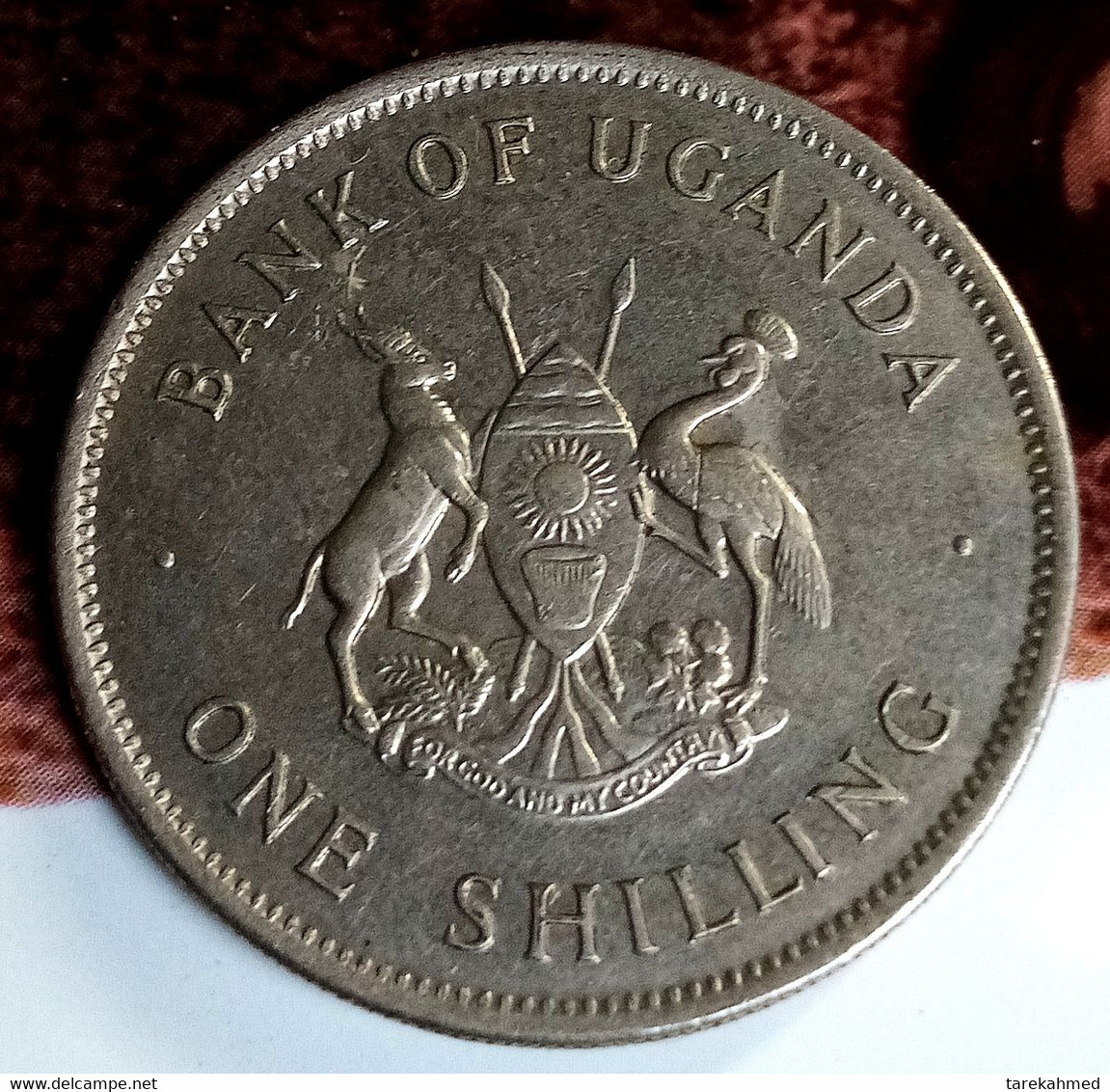 Uganda , 1 Shilling ,1976. KM#5a Magnetic , Agouz - Ouganda