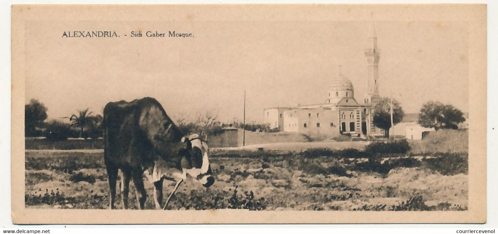 CPA - EGYPTE - ALEXANDRIE - La Mosquée De Sidi-Gaber - Alexandrië