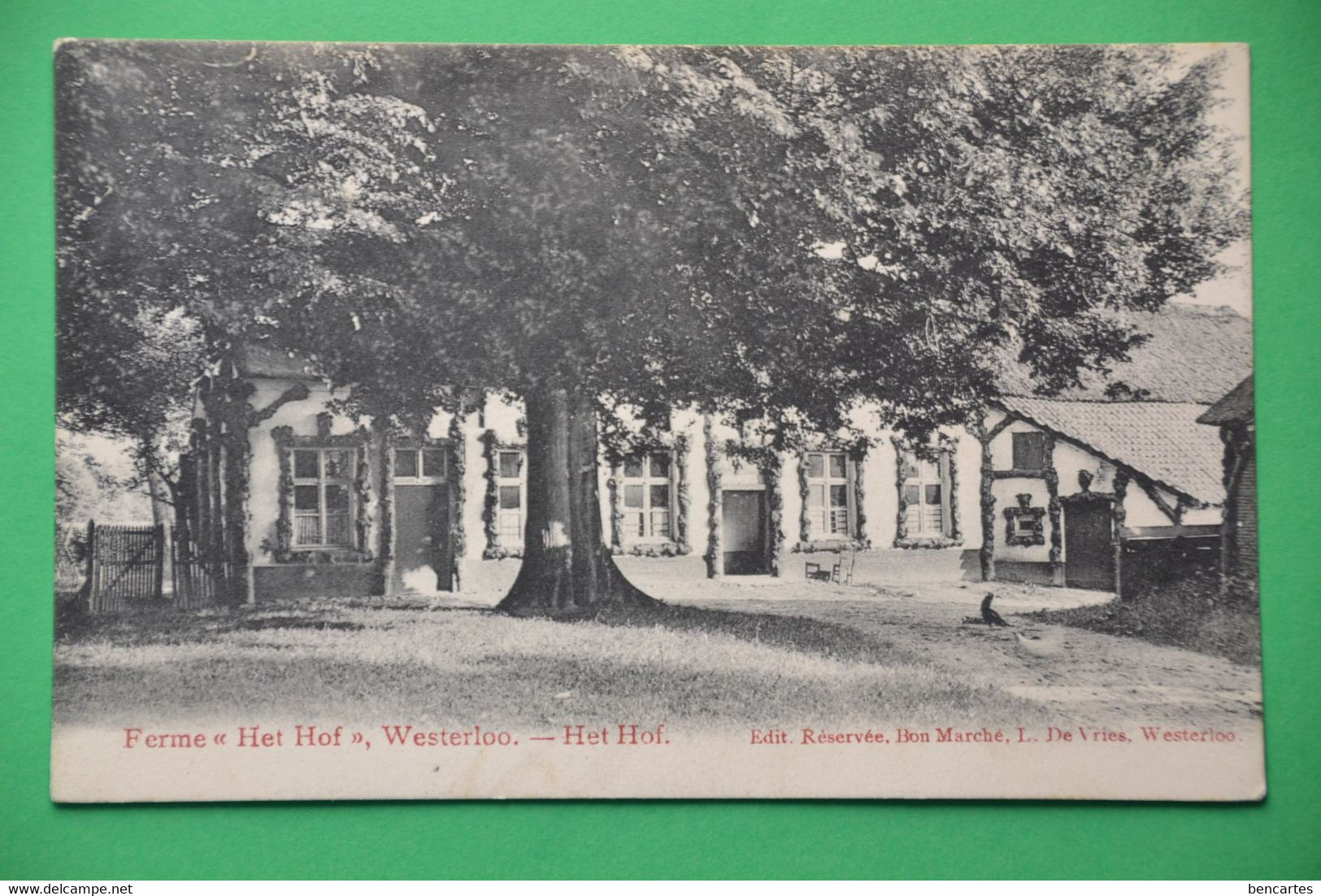 Westerloo 1909: Ferme "Het Hof" - Westerlo