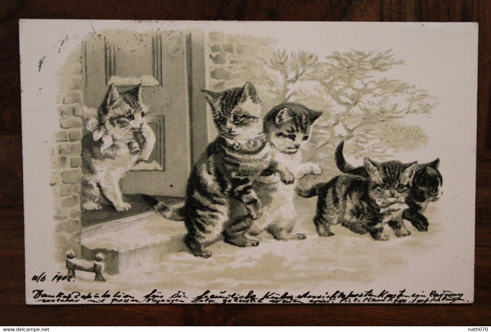 AK 1902 CPA Tiere Katze Litho Kätzchen Chats Chatons Gaufrée - Vor 1900