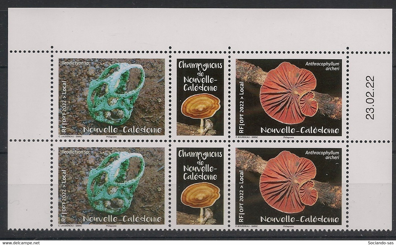 NOUVELLE CALEDONIE - 2022 - N°Yv. 1416 à 1417 - Champignons - Bloc De 4 Coin Daté - Neuf Luxe ** / MNH / Postfrisch - Nuovi