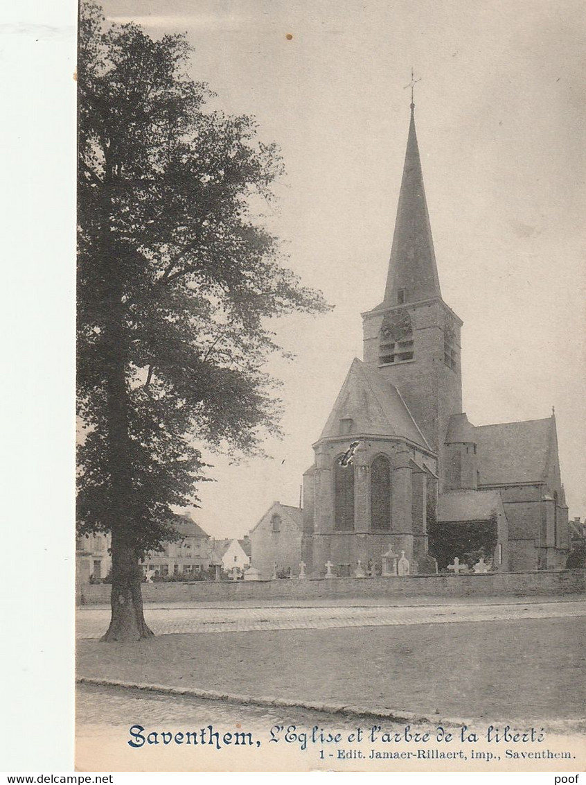 Saventhem / Zaventem : L'Eglise Et L'arbre De La Liberté - Zaventem