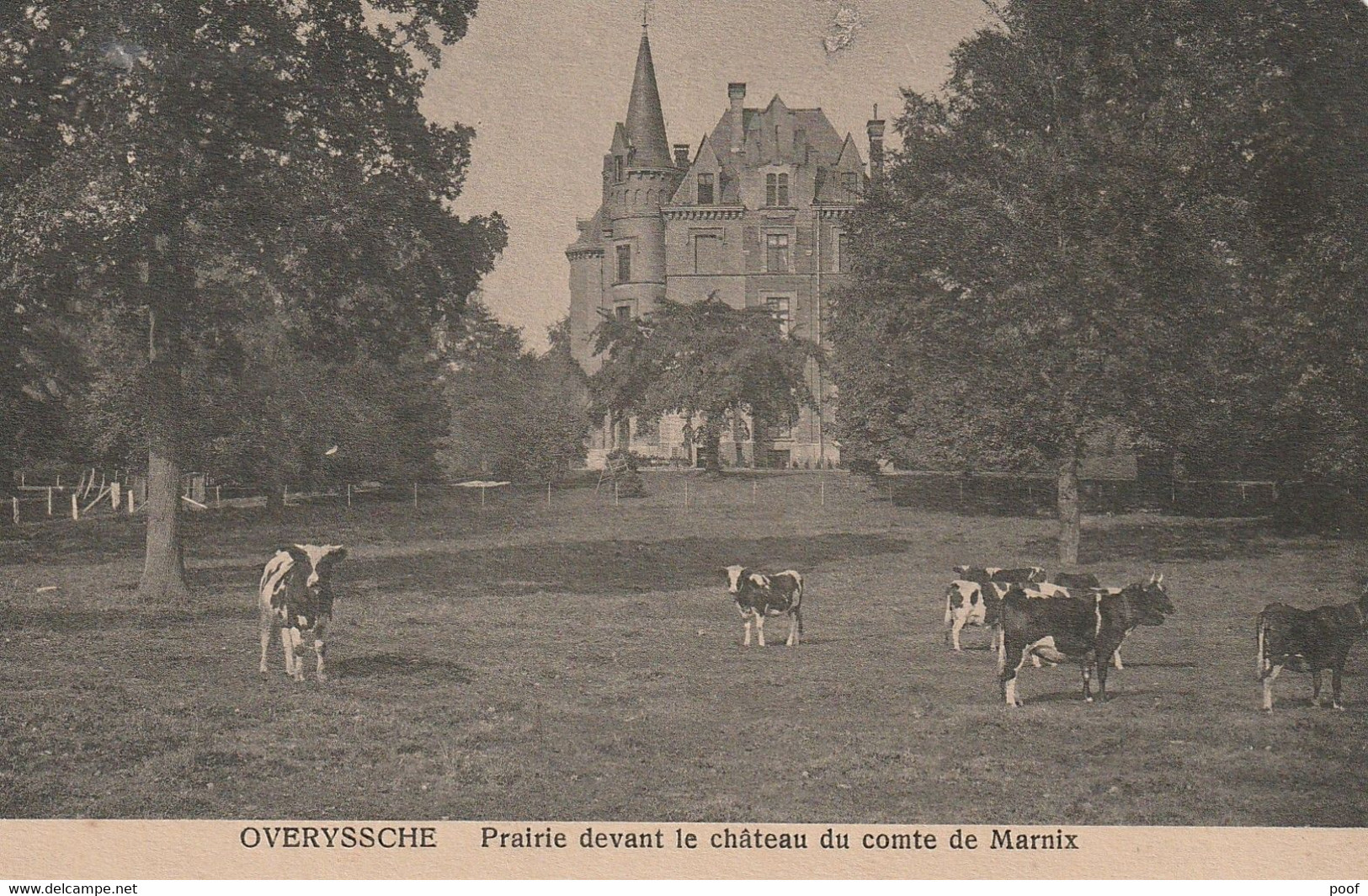Overijse / Overyssche : Prairie Devant Le Château Du Comte De Marnix - Overijse