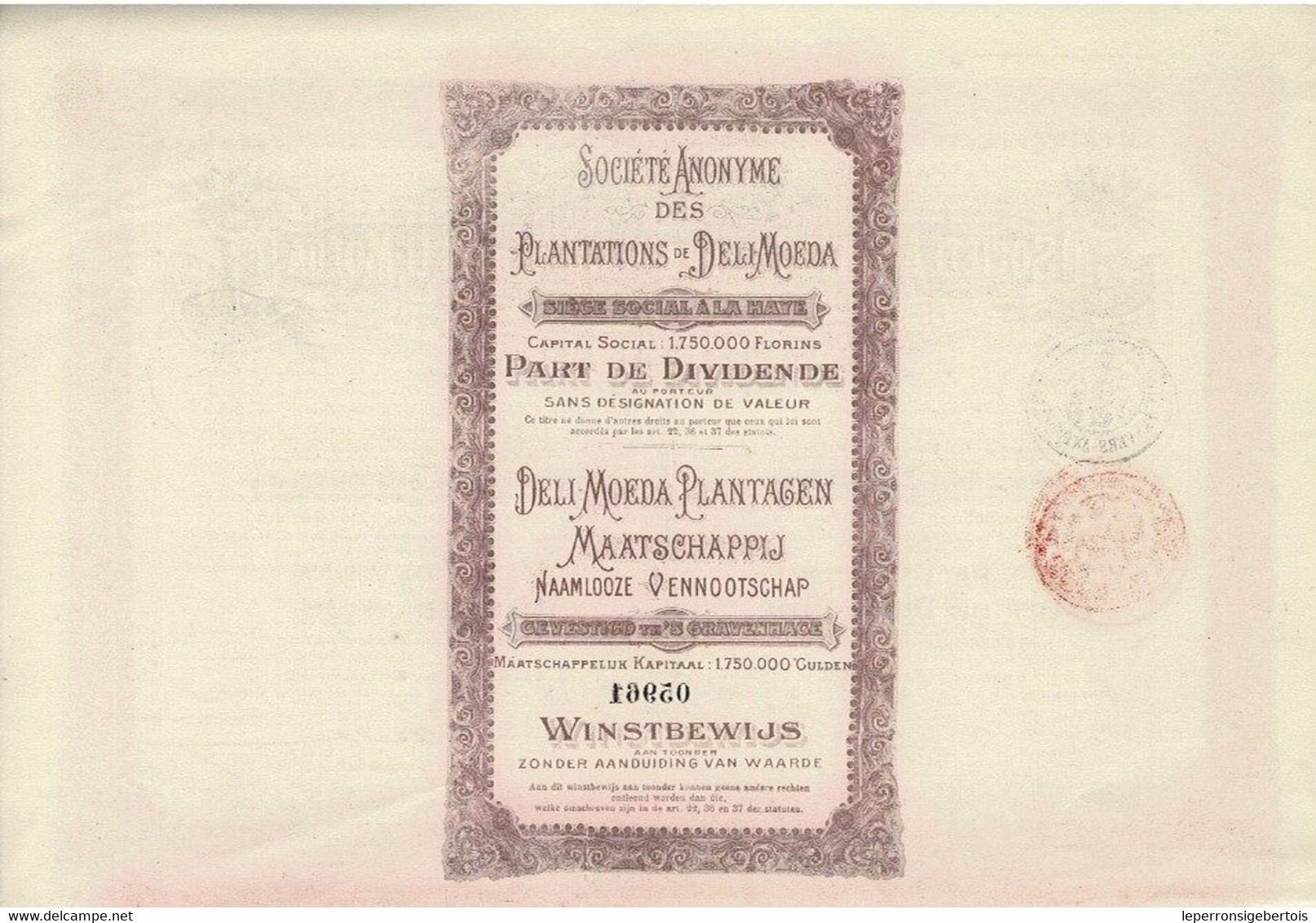 Titre De 1910 - Société Anonyme Des Plantations De Deli-Moeda - Deli-Moeda Plantagen Maatschappij - - Azië