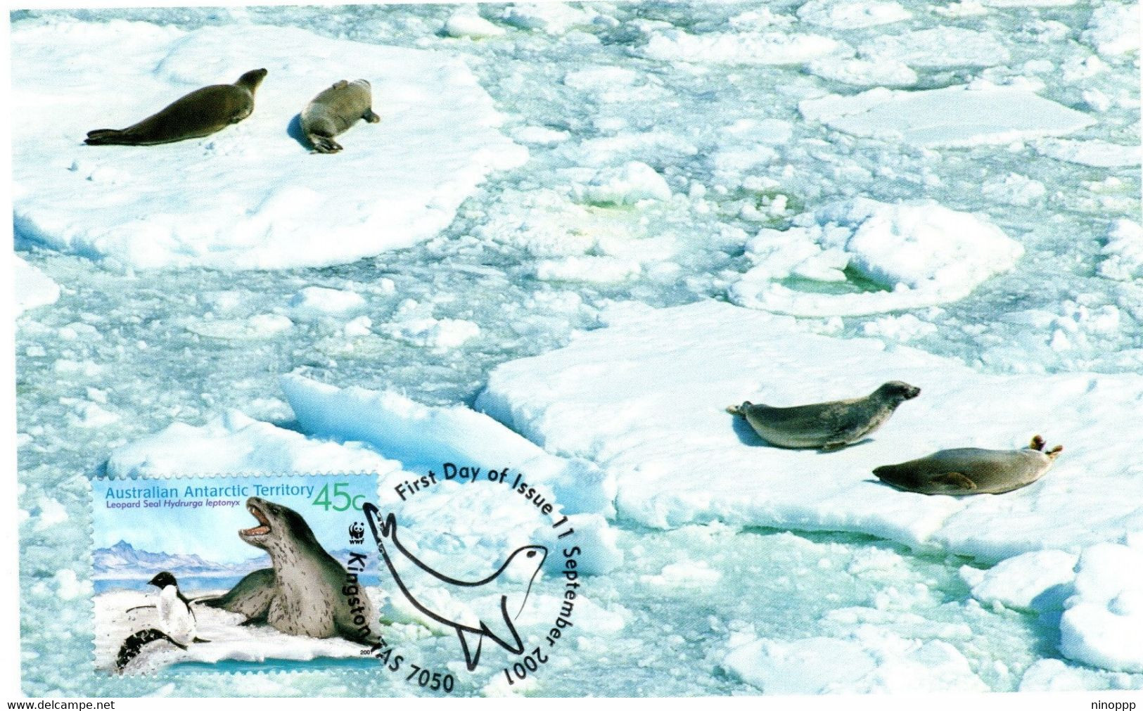 Australian Antarctic Territory 2001 Leopard Seals,Leopard Seal Group,maximum Card - Maximumkarten