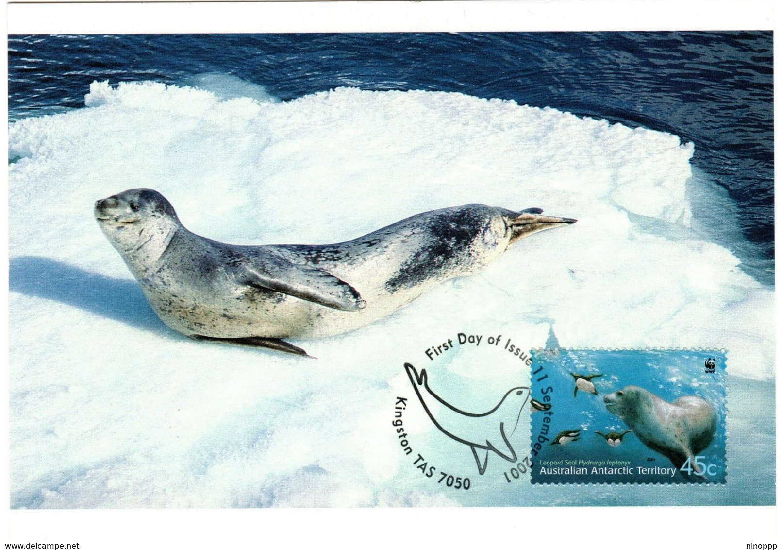 Australian Antarctic Territory 2001 Leopard Seals,Leopard Seal On PACK ICE,maximum Card - Cartes-maximum