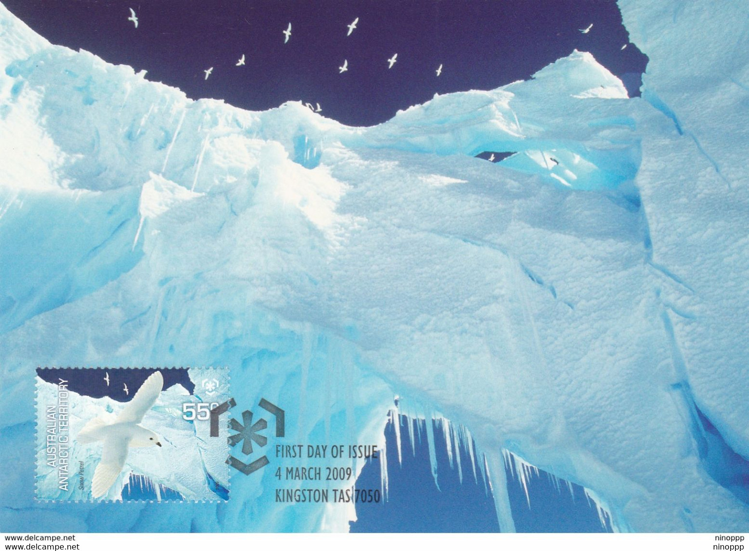 Australian Antarctic Territory 2009 Poles And Glaciers, Snow Petrels, Maximum Card - Cartes-maximum