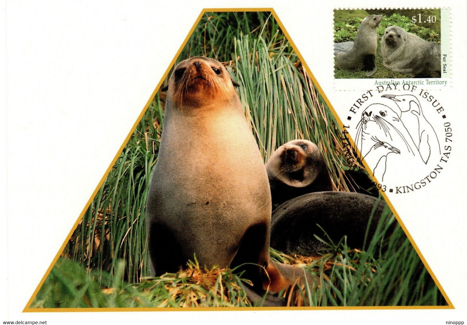 Australian Antarctic Territory 1993 Wildlife Serie II,Fur Seals,maximum Card - Tarjetas – Máxima