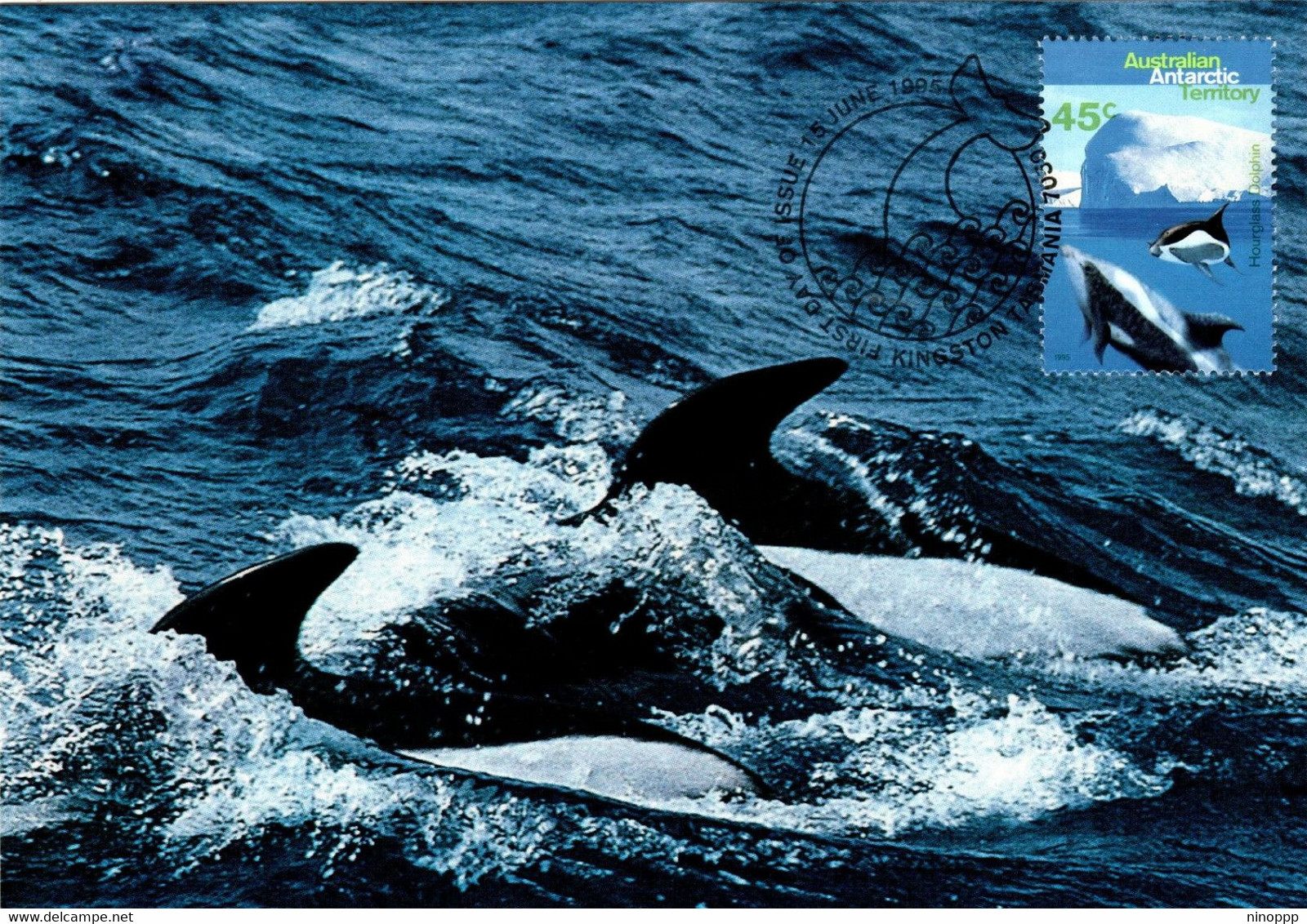 Australian Antarctic Territory 1995 Whales And Dolphins,Hourglass Dolphin,maximum Card - Cartes-maximum