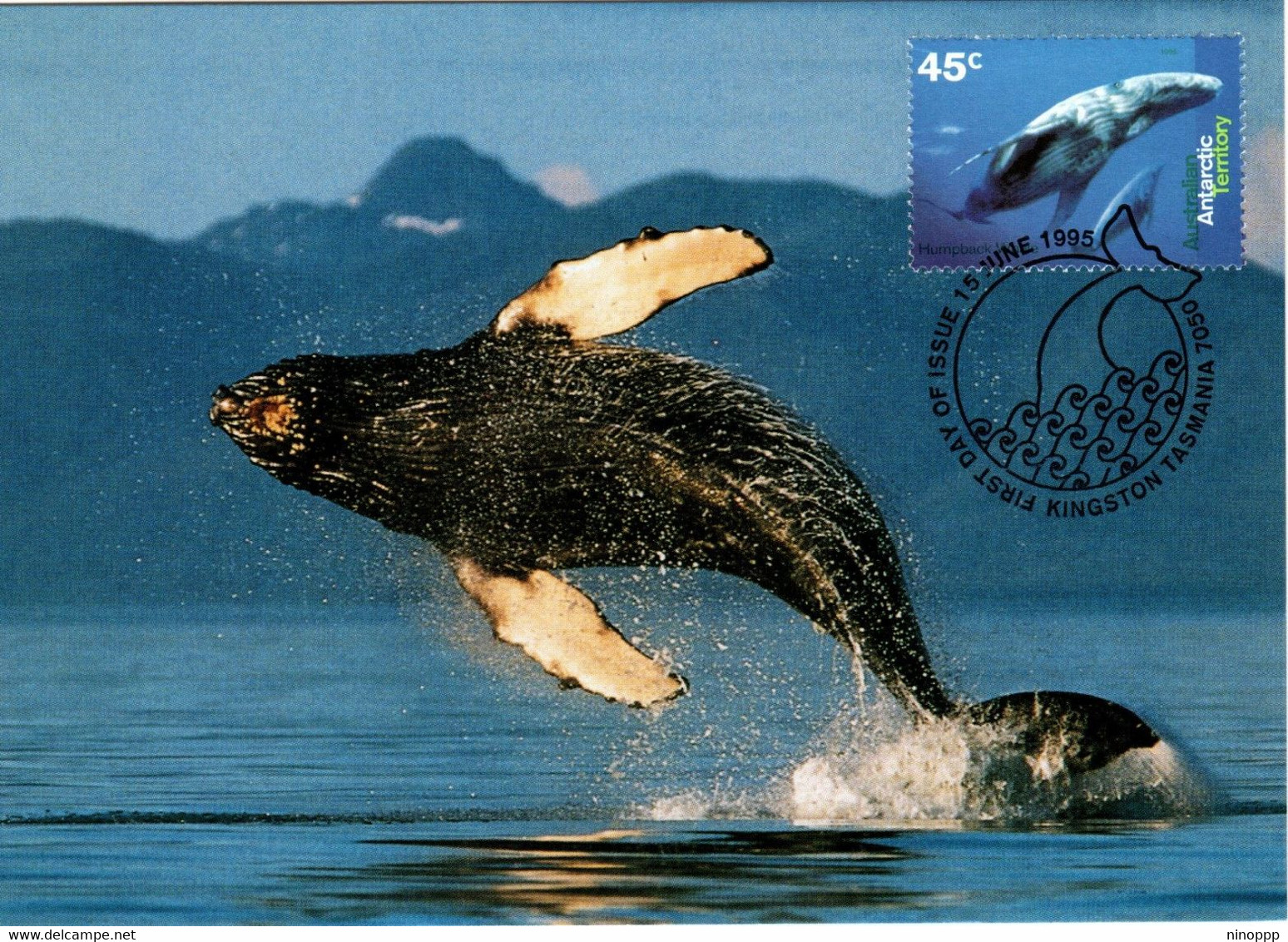 Australian Antarctic Territory 1995 Whales And Dolphins,Humpback Whales,maximum Card - Maximum Cards