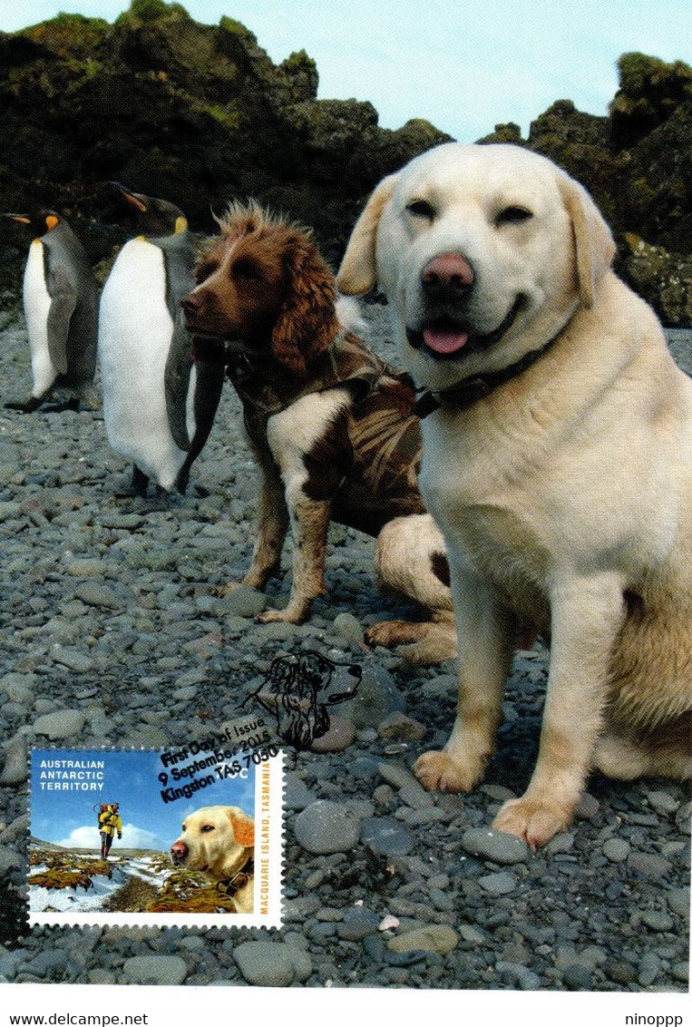 Australian Antarctic Territory 2015  The Dogs That Saved Macquarie Island,Dogs With King Penguins,maximum Card - Cartes-maximum