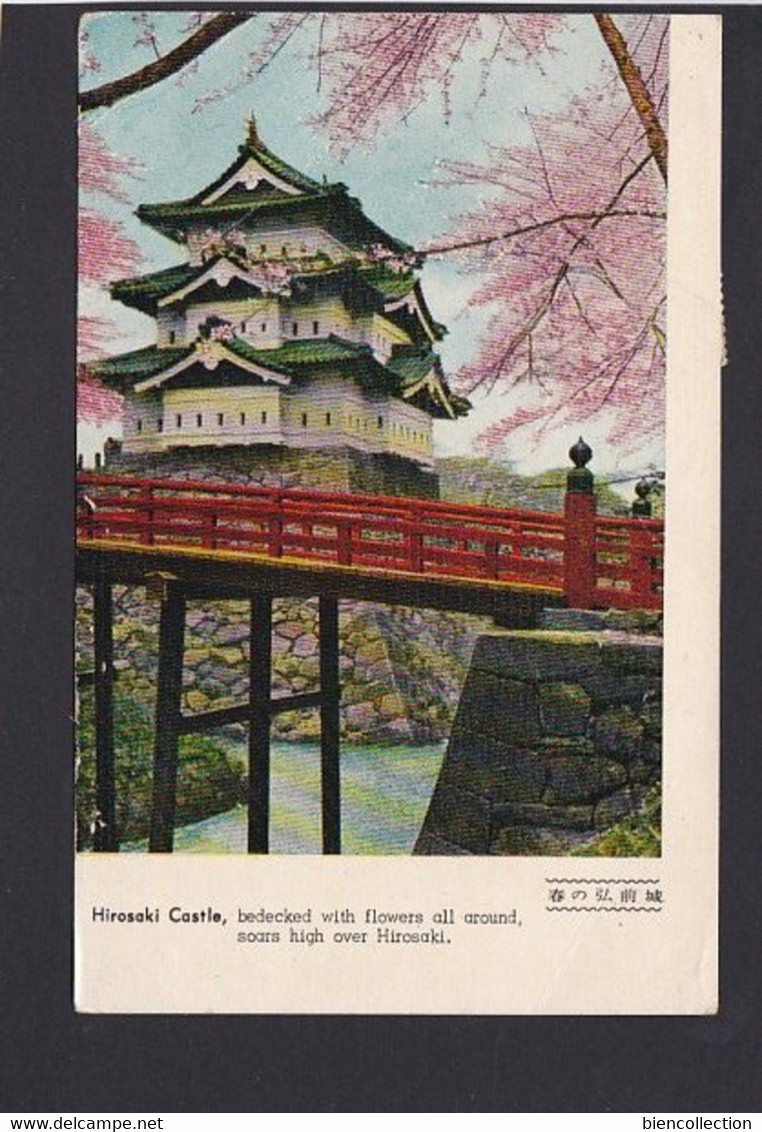 Japon. Mont Fuji Sur Carte Postale - Cartas & Documentos