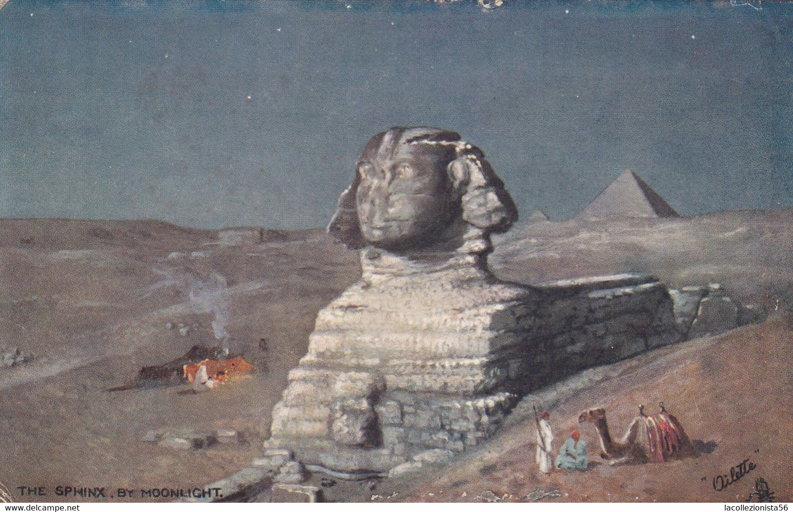 11147-THE SPHINX BY MOONLIGHT-FP - Sphynx