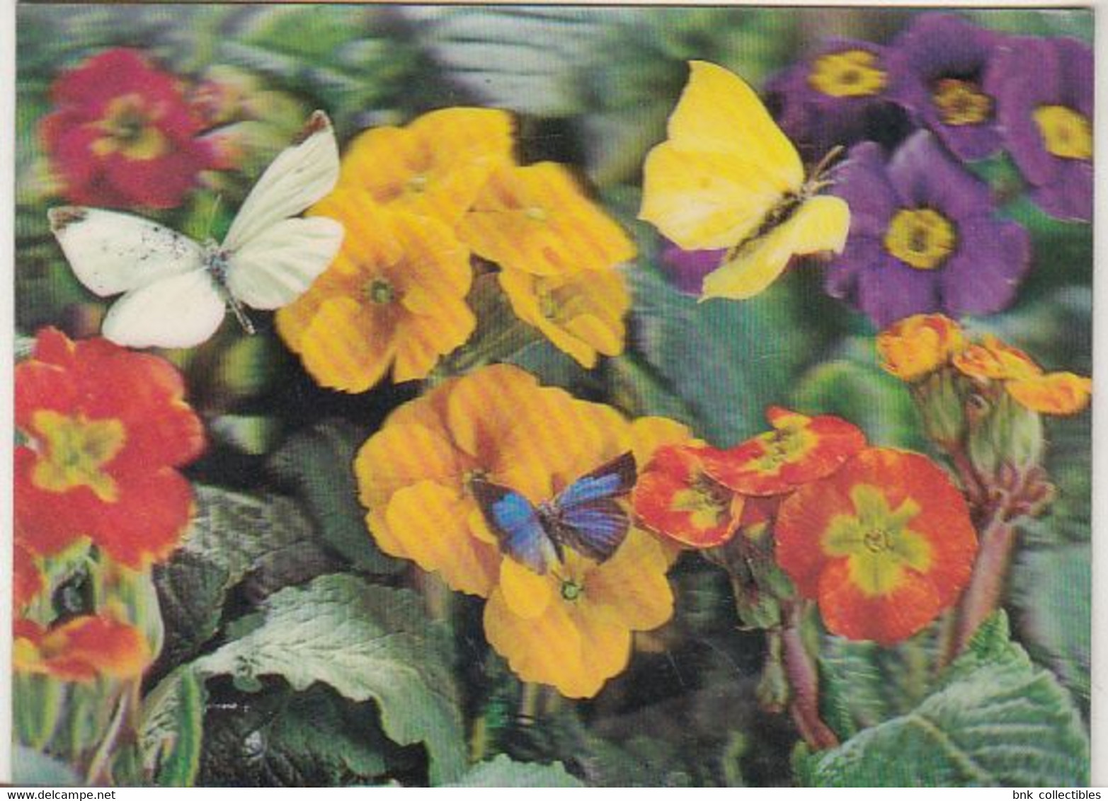 Japan Old Used Stereoscope 3D Postcard - Wonder Co Tokyo SSP-112 - Butterflies - Cartes Stéréoscopiques