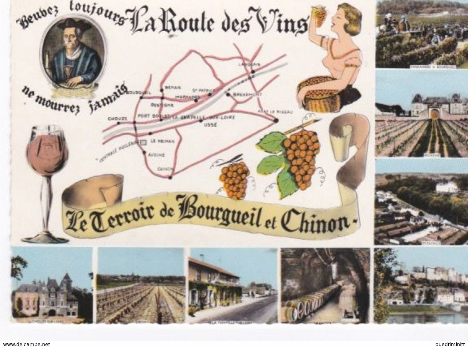 Cpsm Dentelée, Carte Géographique, La Route Des Vins, Bourgueil, Chinon, Rabelais. - Weinberge