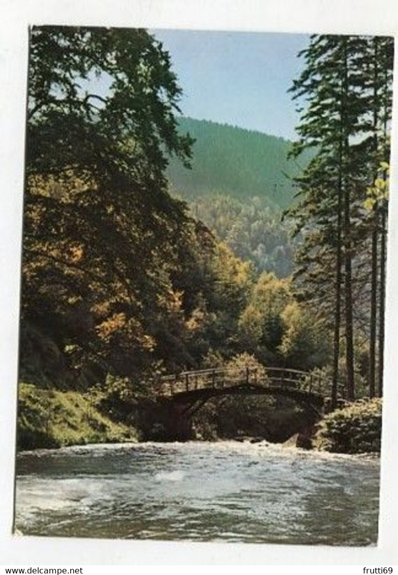 AK 080936 GERMANY - Harz - Blick Ins Okertal - Oberharz