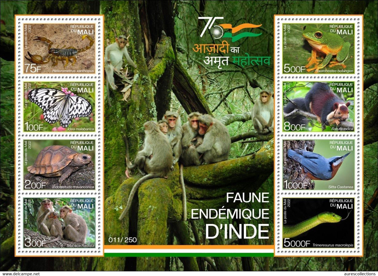 MALI 2022 SHEET S/S BLOC - INDIA ENDEMIC FAUNA - SCORPIONS BUTTERFLY TURTLES APES MONKEYS FROGS SQUERREL BIRDS SNAKE MNH - Araignées