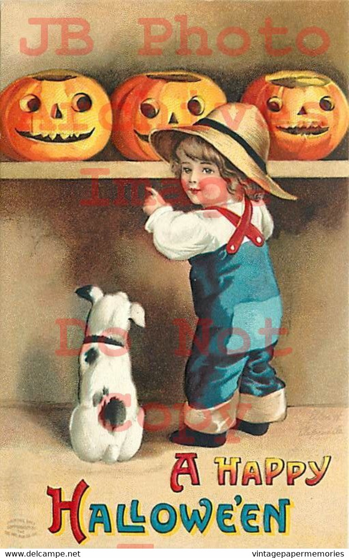 258527-Halloween, IAP No 1237-2, Ellen Clapsaddle, Boy & Dog Looking At Jack O Lanterns - Halloween