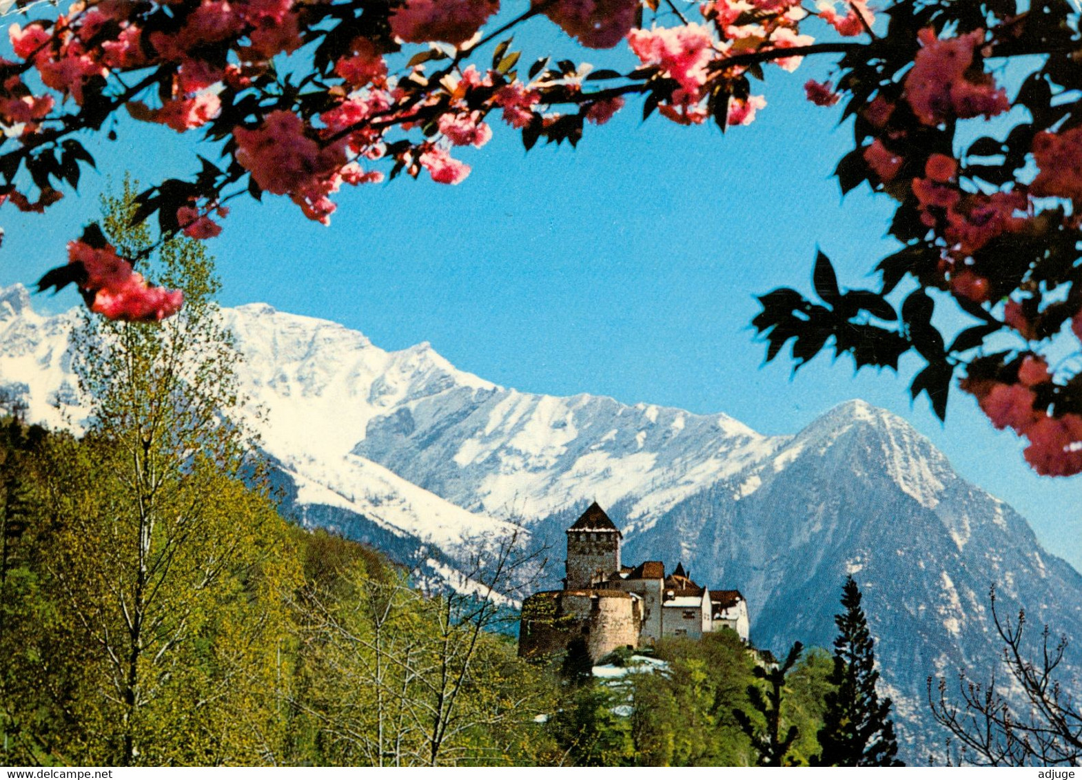 CPM- Liechtenstein- Schloss VADUZ - Belle Flamme  * SUP*Scan Recto/Verso - Liechtenstein