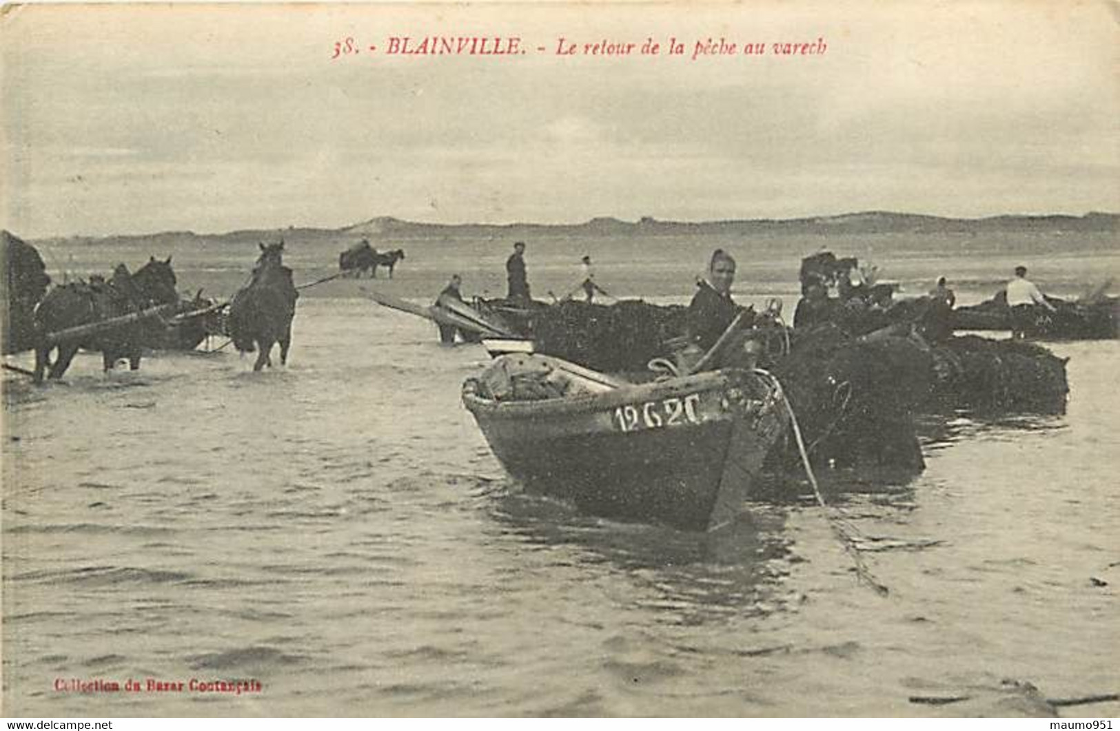 50  BLAINVILLE - LE RETOUT DE LA PECHE AU VARECH - Blainville Sur Mer