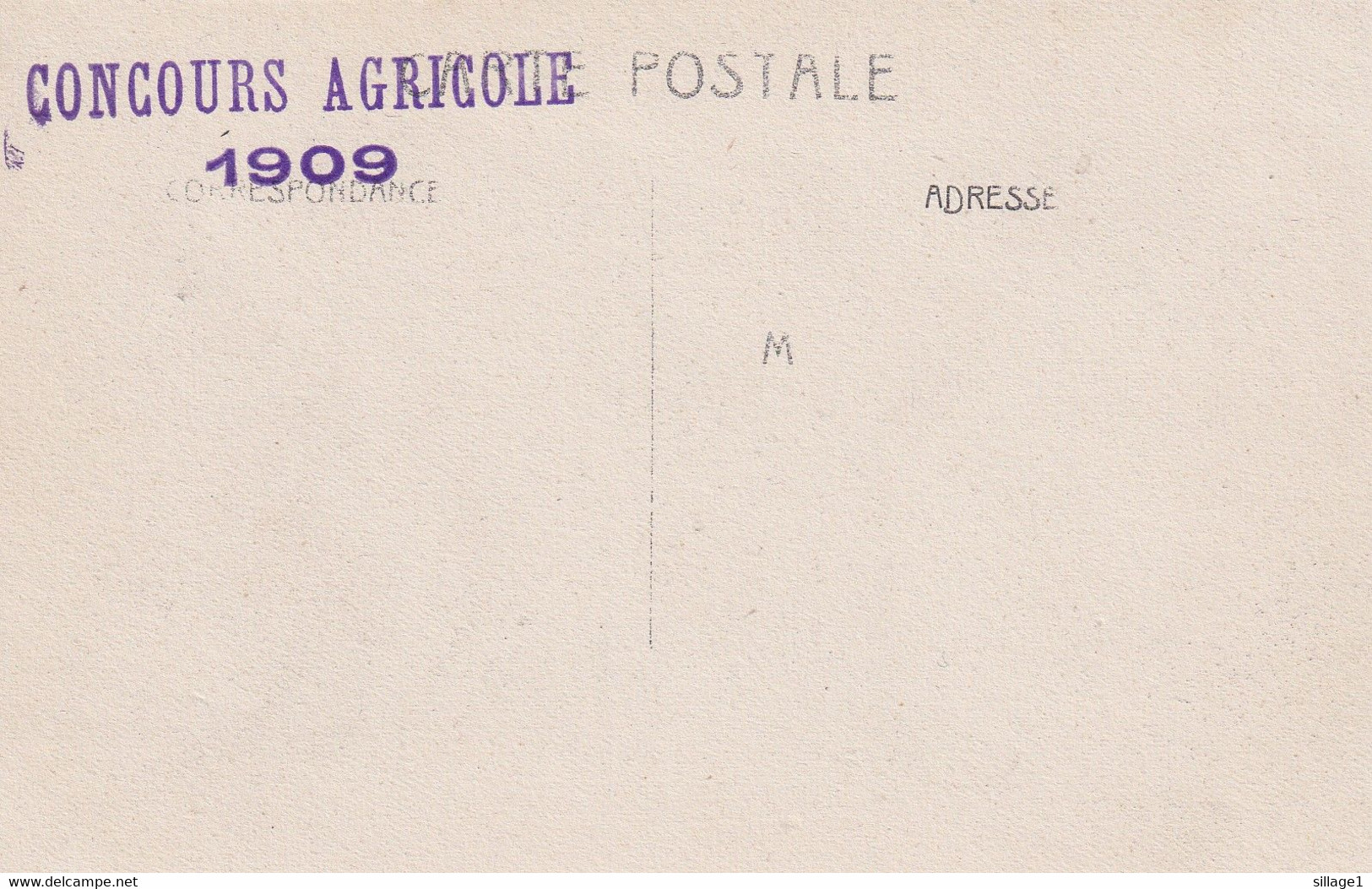 VIN - Oenologie - Jury - Gouteurs De Vins Concours Agricole 1909 - Concours Général Agricole. PARIS Cliché Nobécourt - Vignes