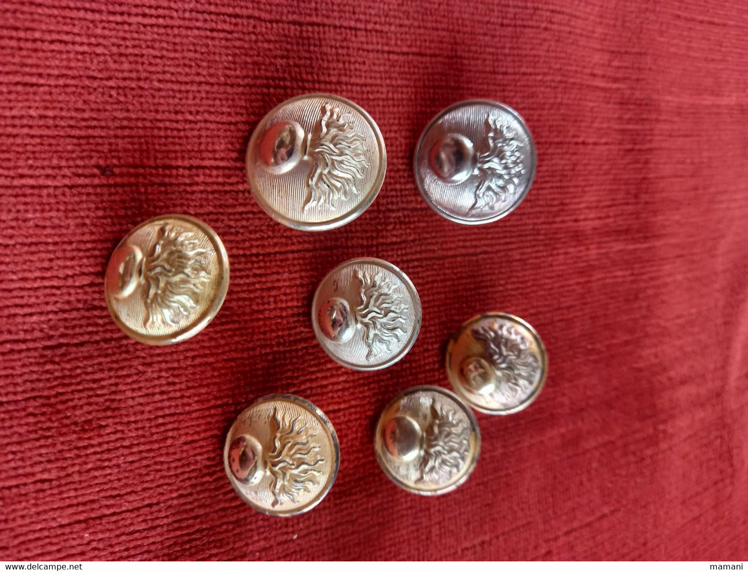 7 Boutons Militaria - Knopen