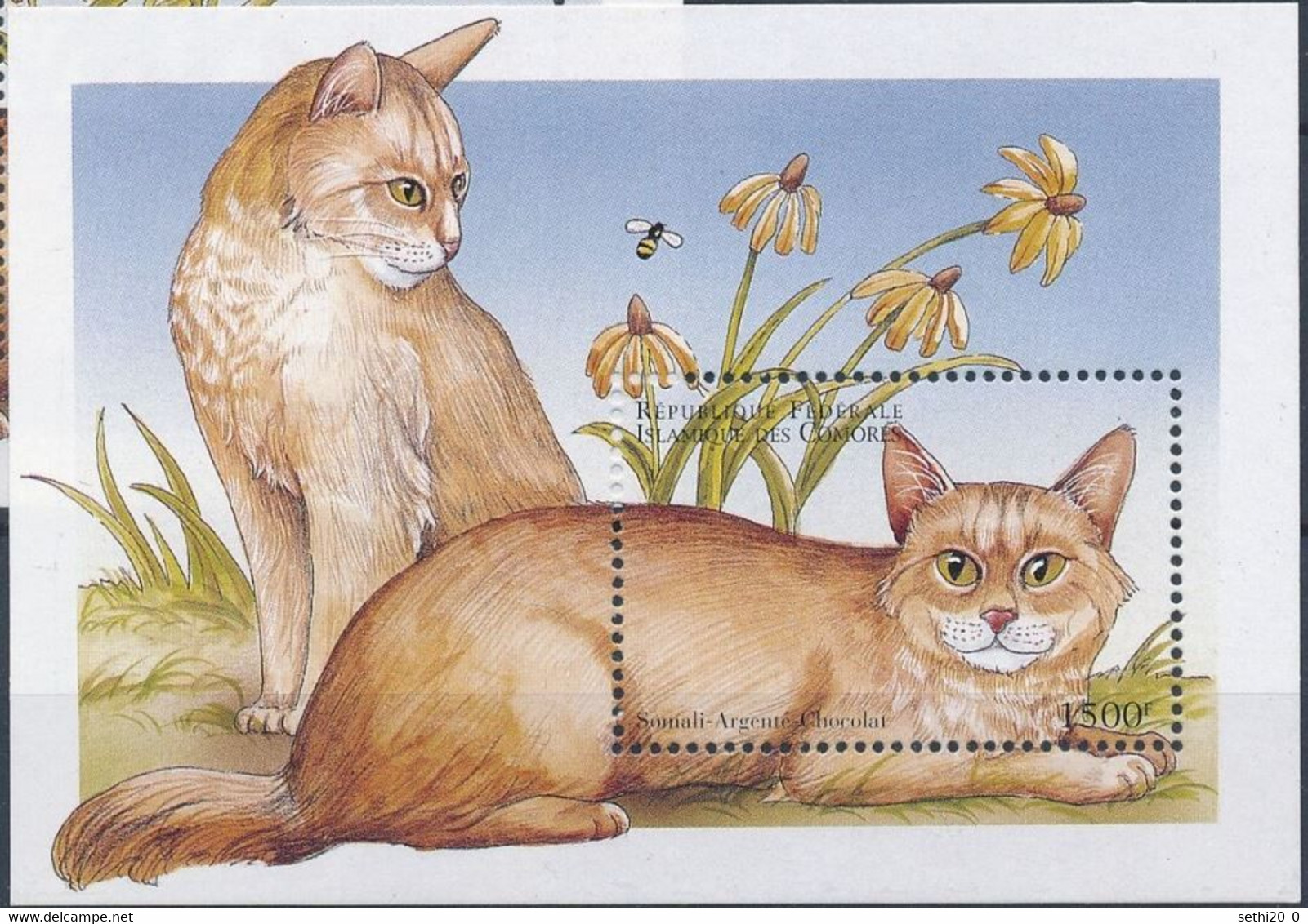 Comores 1999 Cats Chats  MNH - Altri & Non Classificati