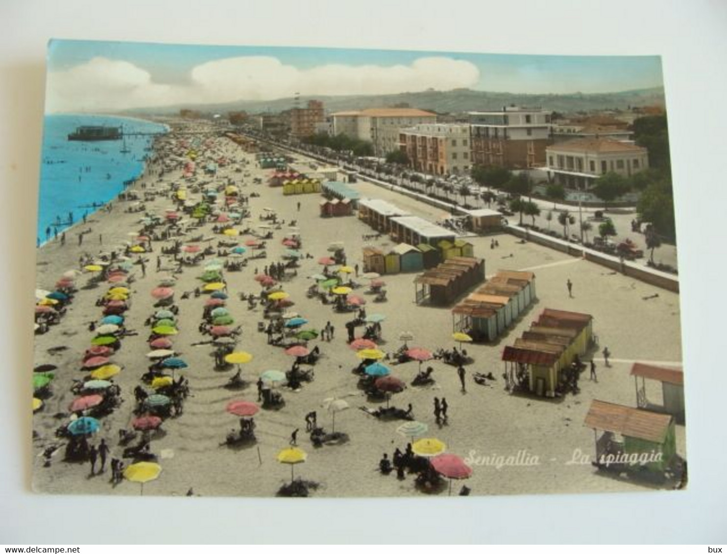 SENIGALLIA    ANCONA  -   MARCHE  VIAGGIATA  COME DA  FOTO ACQUERELLATA   °°° - Senigallia