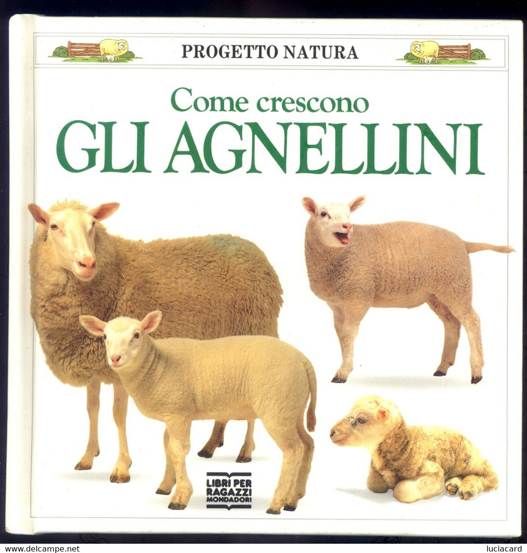 COME CRESCONO GLI AGNELLINI -PROGETTO NATURA -MONDADORI 1992 - Niños Y Adolescentes